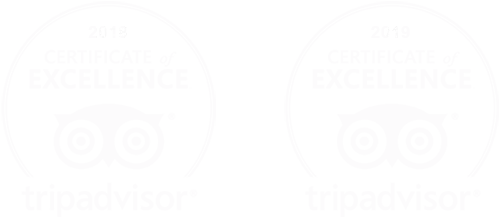Dive & Dive Certificado excelencia TripAdvisor 2018 2019