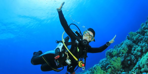 Buceo Dive & Dive Calpe