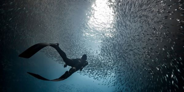 Freediving Apnea en Calpe
