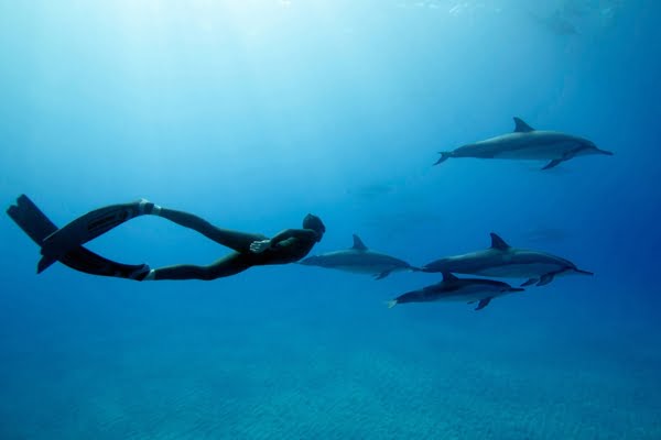 Cursos de Freediving Apnea en Calpe