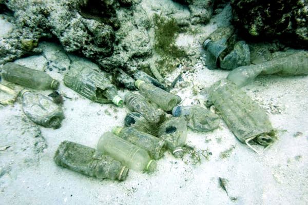 SALIDA DE BUCEO PLASTIC FISHER Y PADI AWARE SALIDA DE BUCEO PLASTIC FISHER Y PADI AWARE