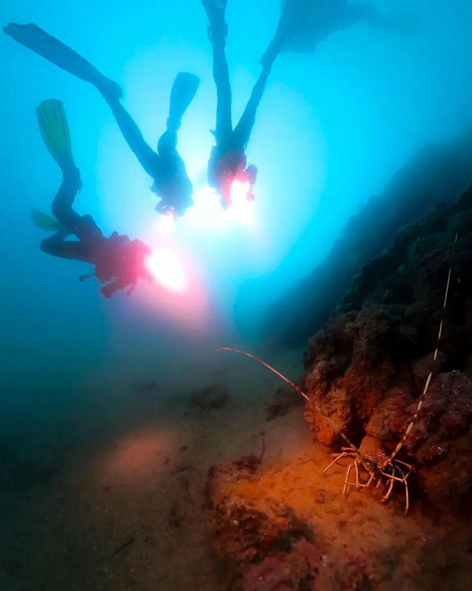 ADVANCED_OPEN_WATER_DIVER_D&D