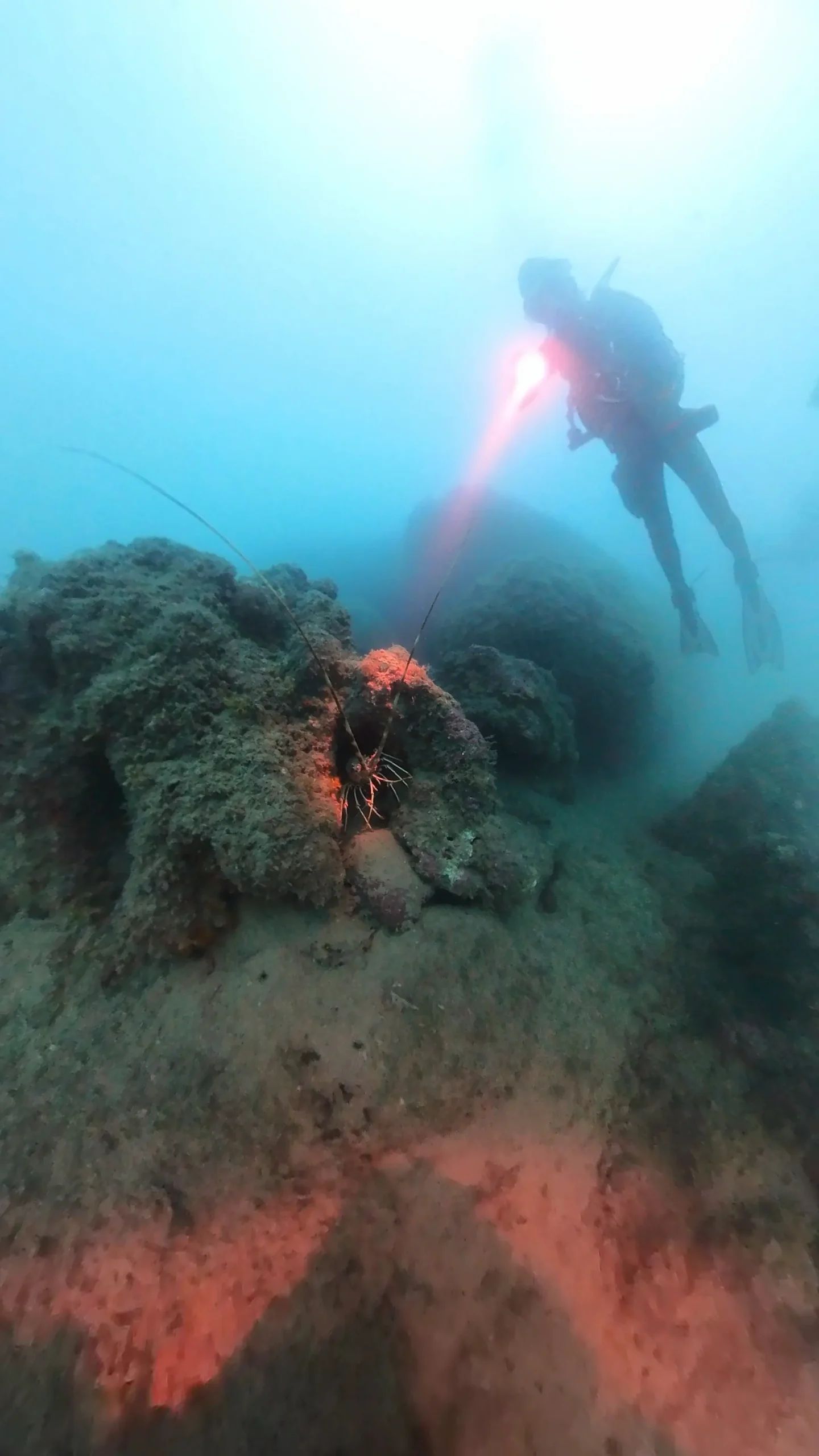 Curso Advanced Open Water Diver