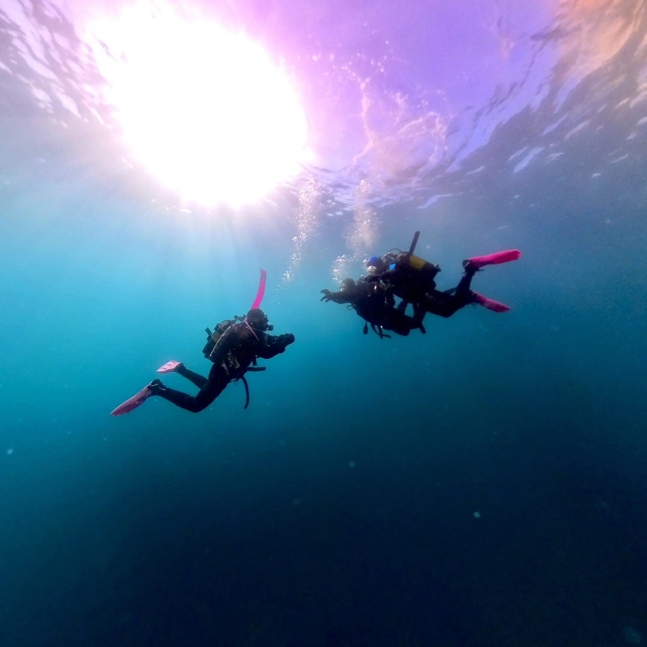 Inmersiones en CALPE